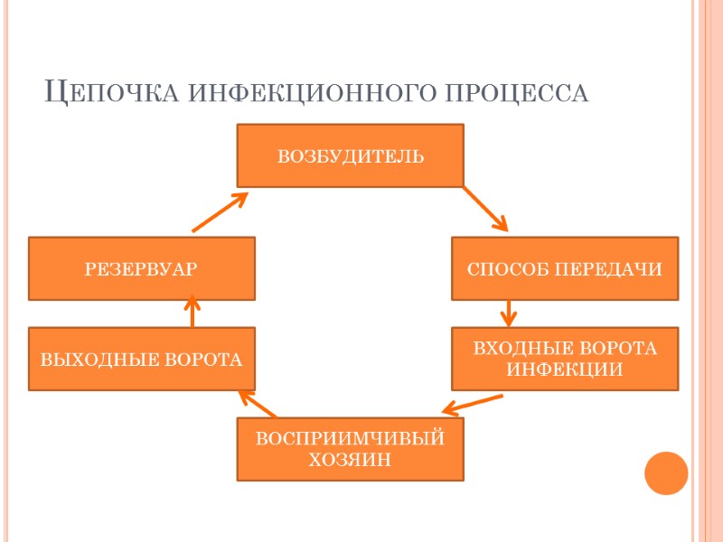 Цепочка инфекционного процесса ВОЗБУДИТЕЛЬ СПОСОБ ПЕРЕДАЧИ ВХОДНЫЕ ВОРОТА ИНФЕКЦИИ ВОСПРИИМЧИВЫЙ ХОЗЯИН ВЫХОДНЫЕ ВОРОТА РЕЗЕРВУАР